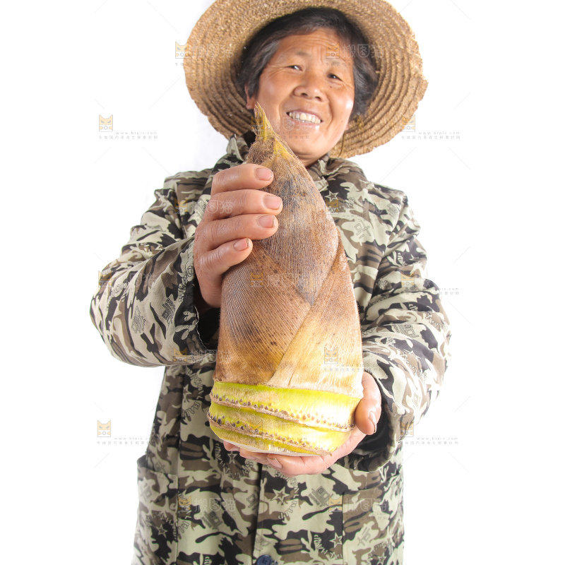 农民手里拿着黄泥大春笋