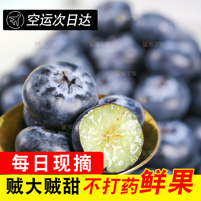 勺子上舀着云南蓝莓
