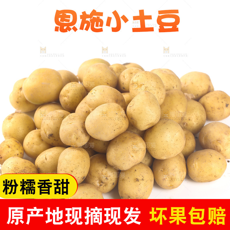 一堆新鲜小土豆