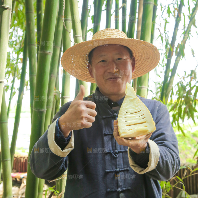 切开的春笋