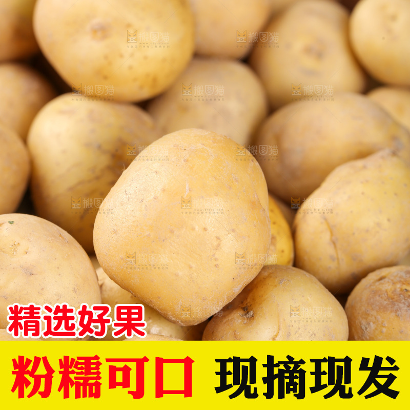 一篮新鲜小土豆