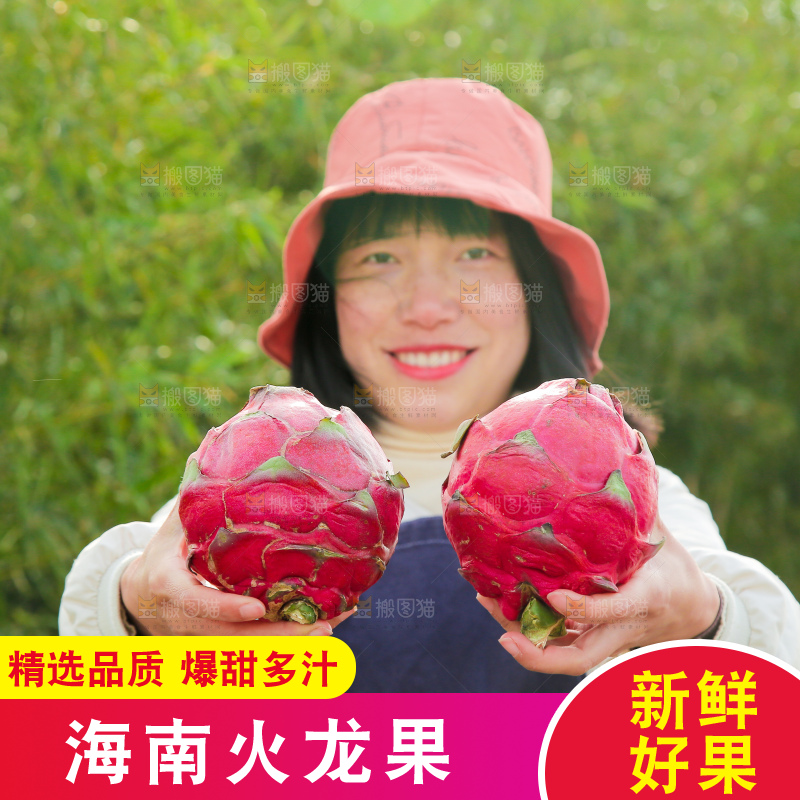 手里拿着金都一号火龙果