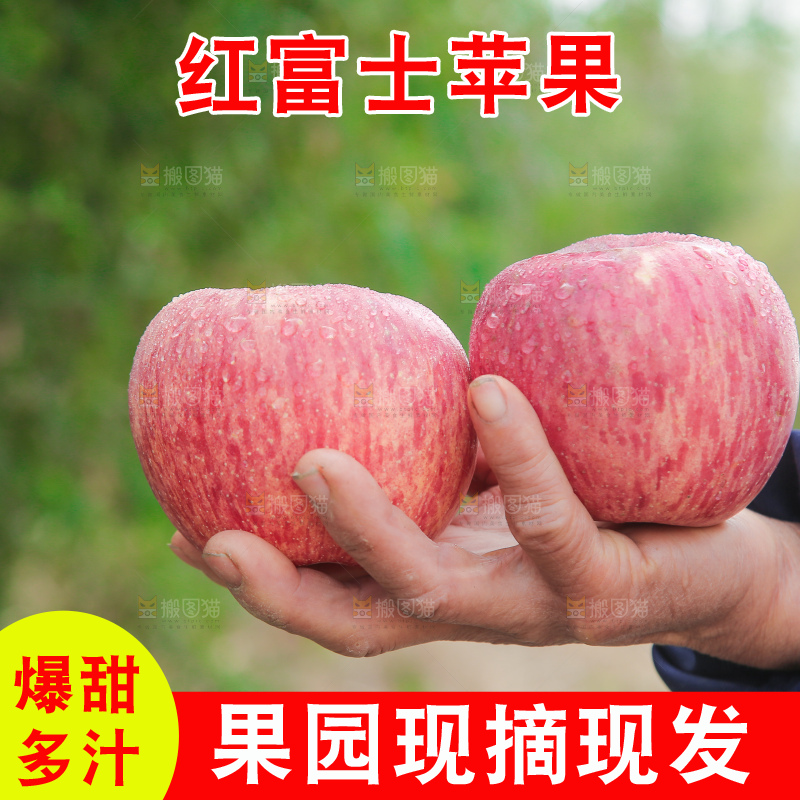 手里拿着红富士