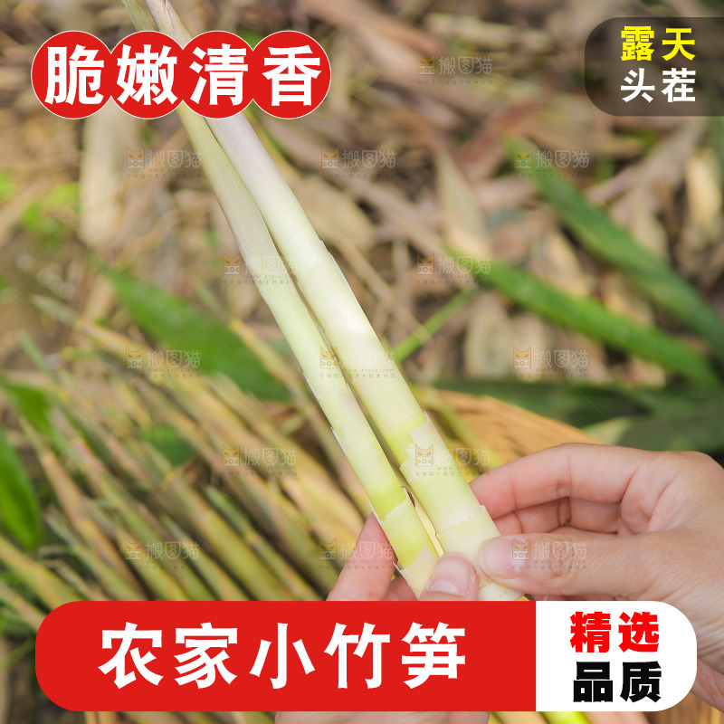 手里拿着小春笋