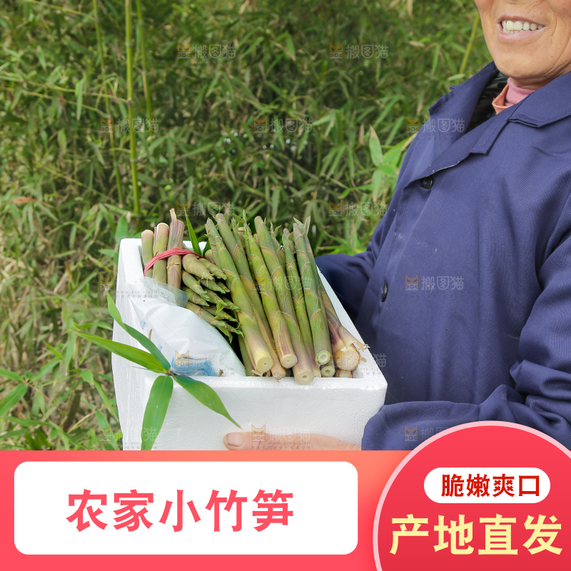 手里端着一箱小竹笋
