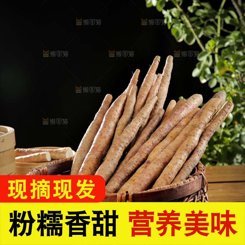 篮子里装着山药