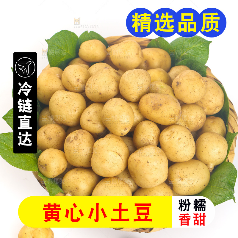 白底上放着一篮高山小土豆