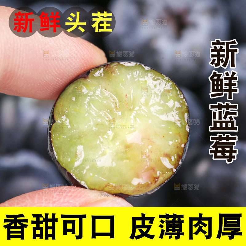 手里拿着蓝莓