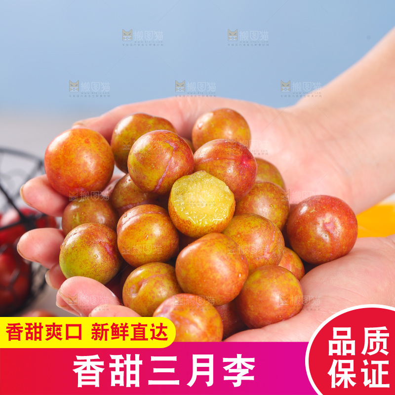 手里捧着三月李