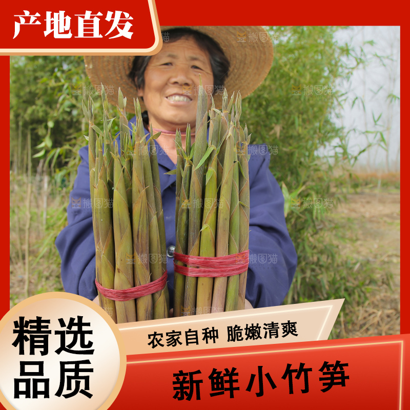 手里拿着小春笋