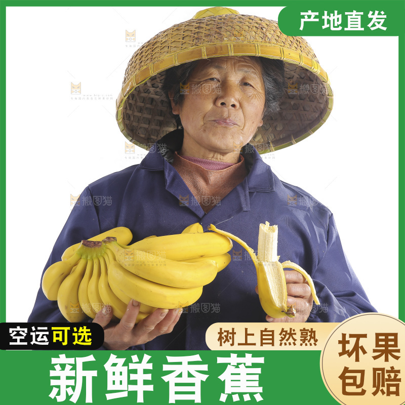 果农吃着香蕉
