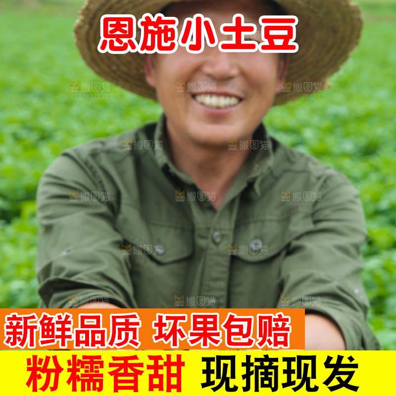 手里捧着恩施小土豆