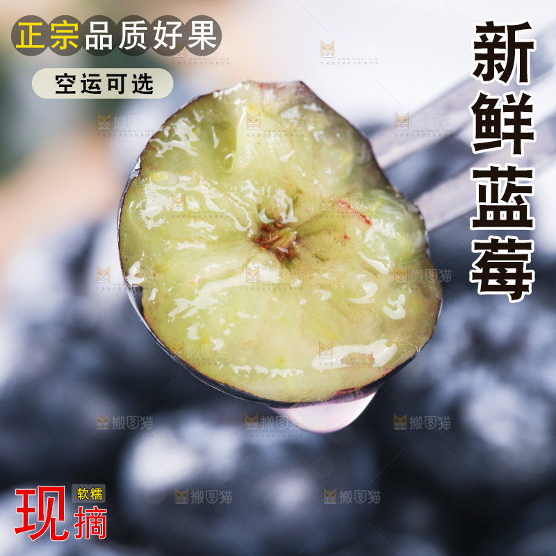 叉子上插着蓝莓
