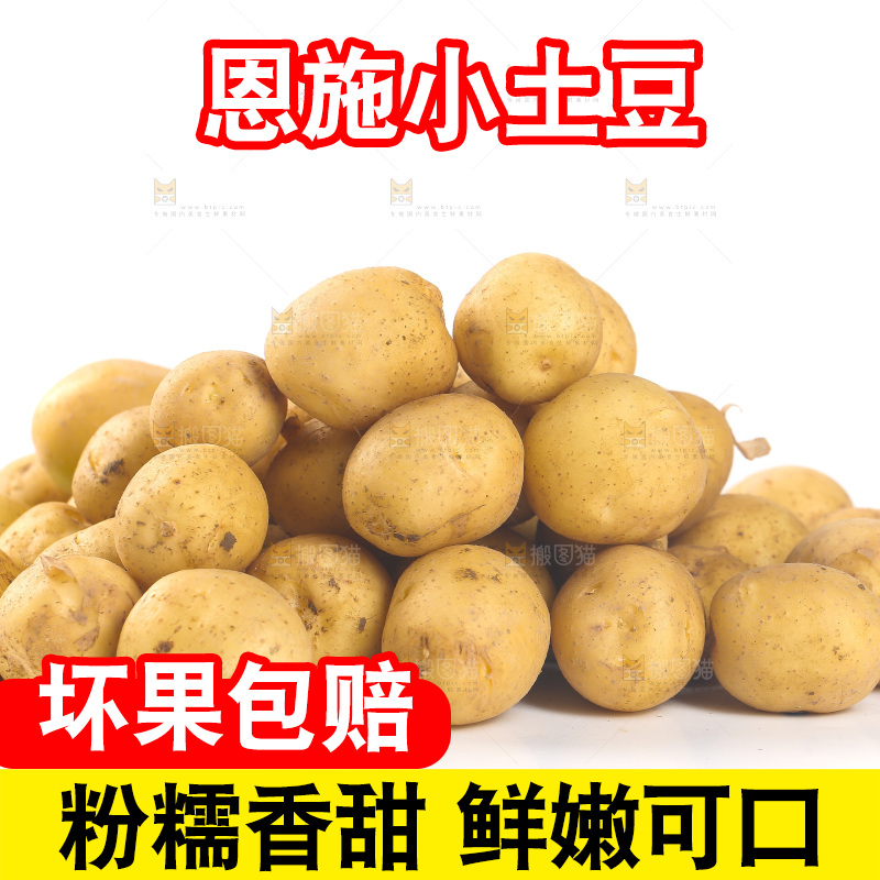 一堆新鲜小土豆