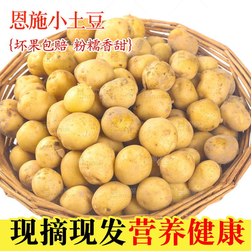 一篮小土豆