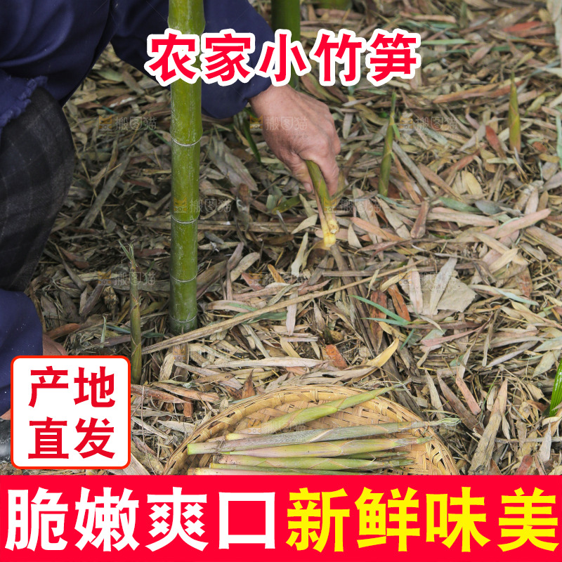 新鲜的小竹笋