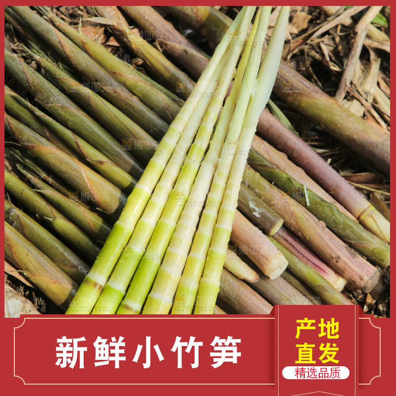 一堆新鲜小竹笋