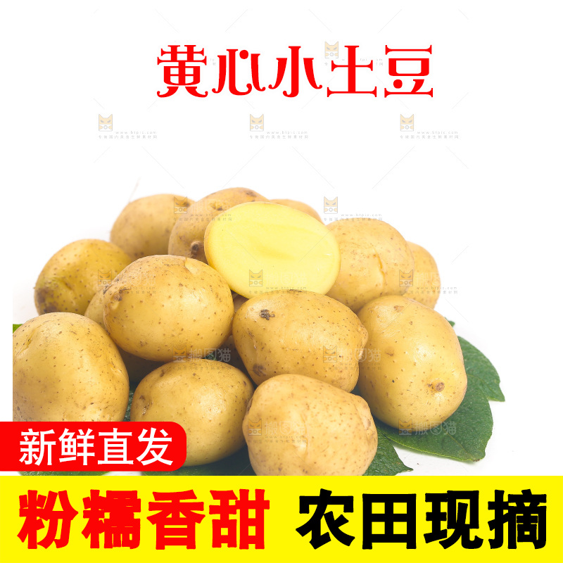 一堆小土豆