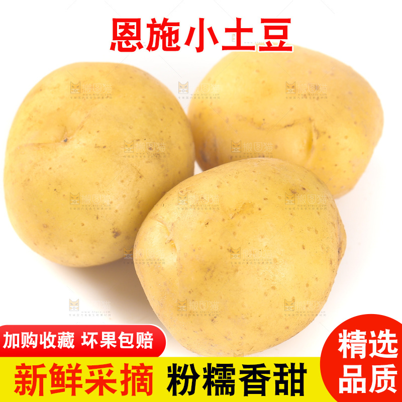 白底上的黄皮小土豆