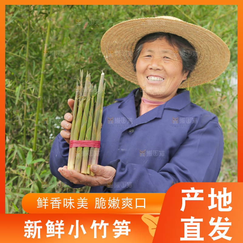 手里拿着带壳小竹笋