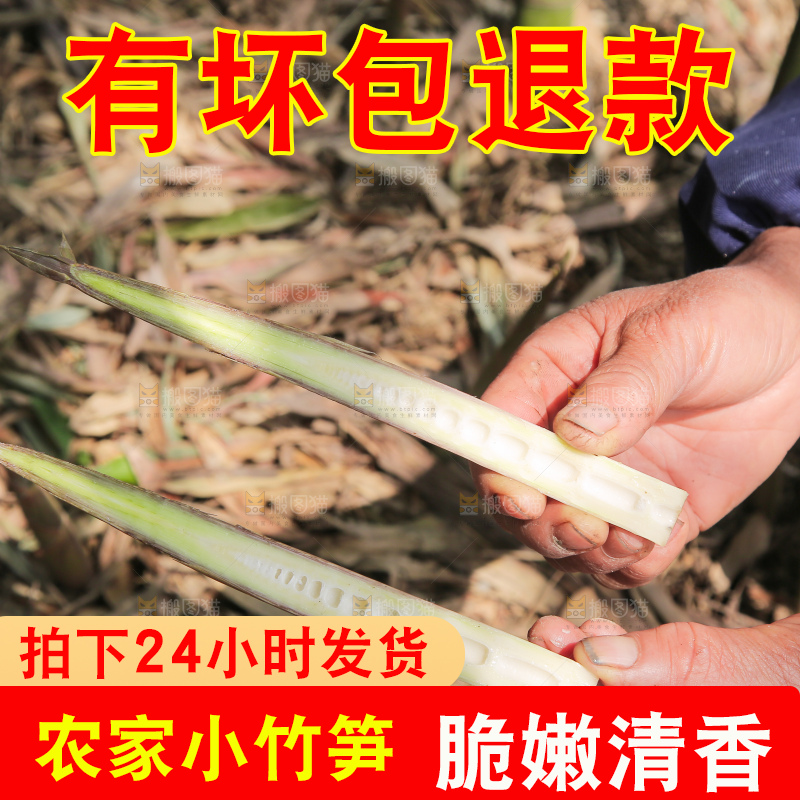 手里拿着小春笋
