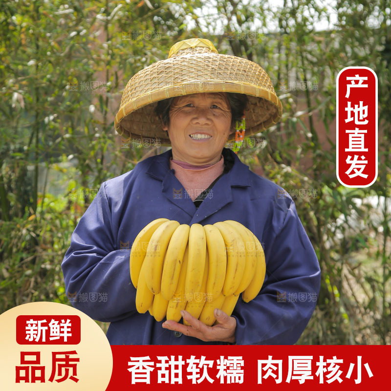 手里拿着一串黄皮香蕉