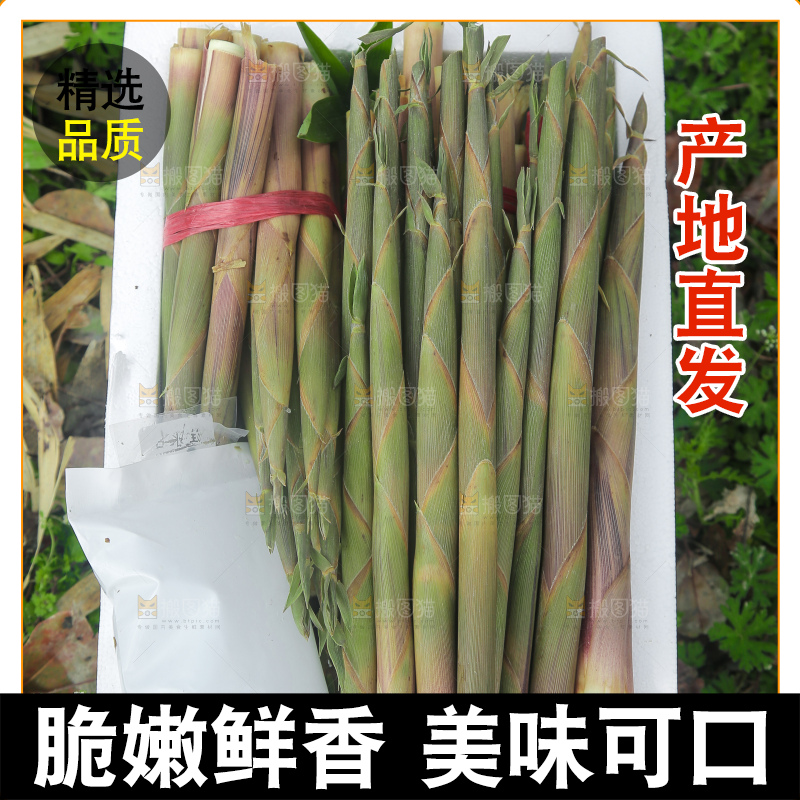 一箱新鲜小竹笋