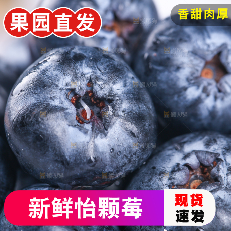 一堆新鲜莓蓝