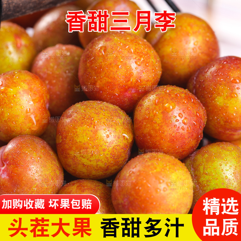 一篮红三月李