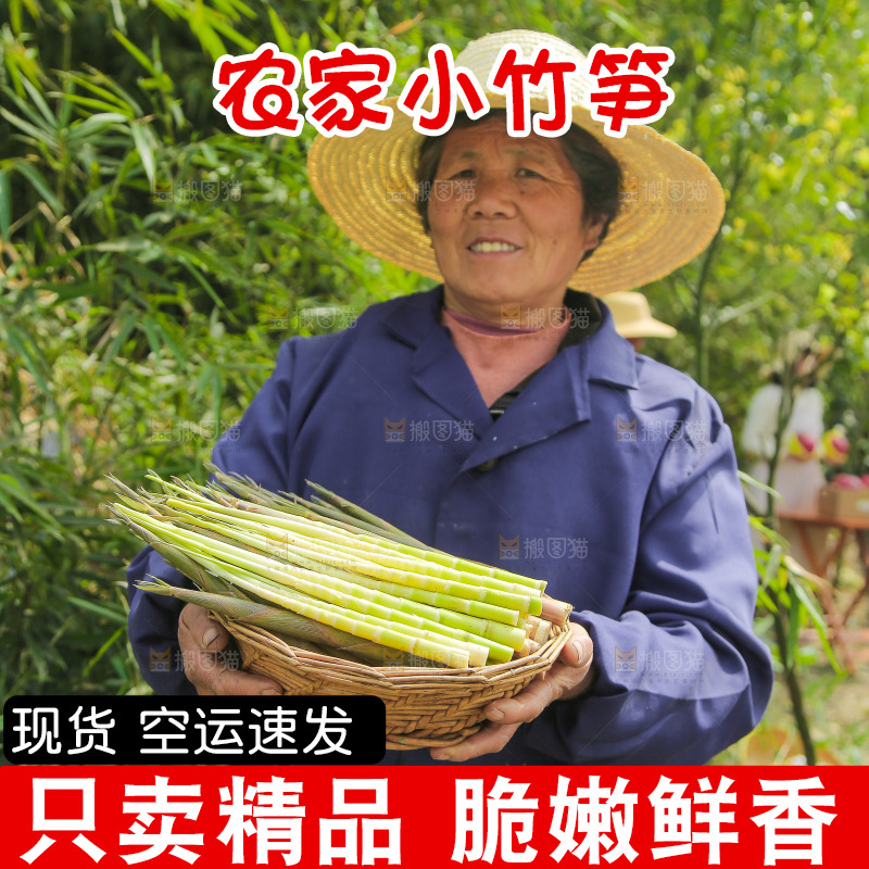 手里端着一篮小竹笋