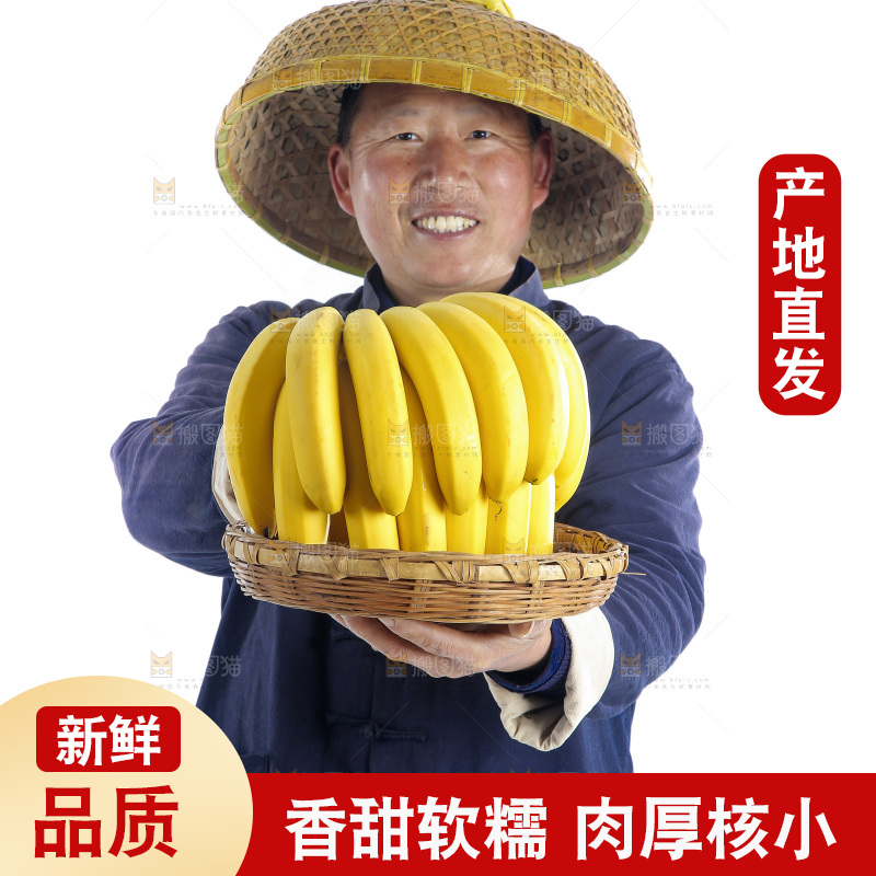 农民手里端着一篮新鲜香蕉