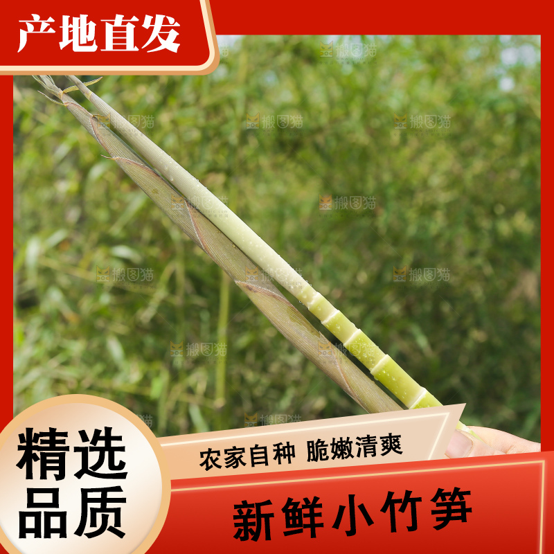 手拿着小竹笋