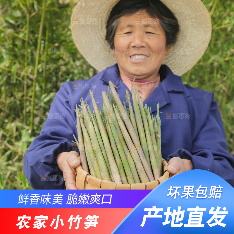 农民手里端着一篮小山笋