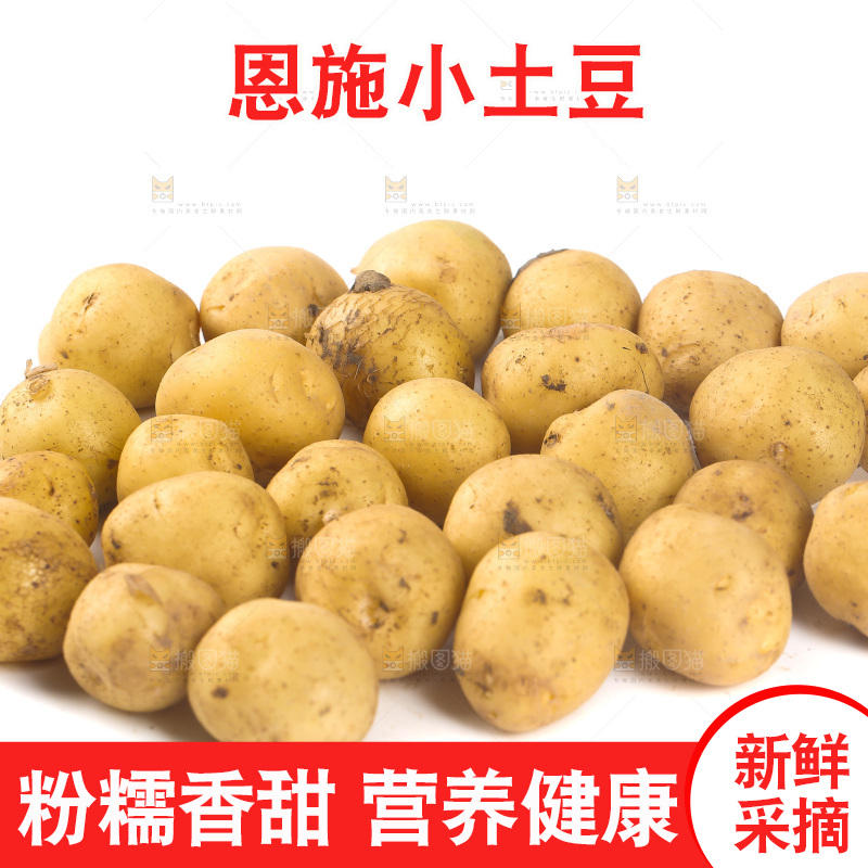 一堆新鲜小土豆