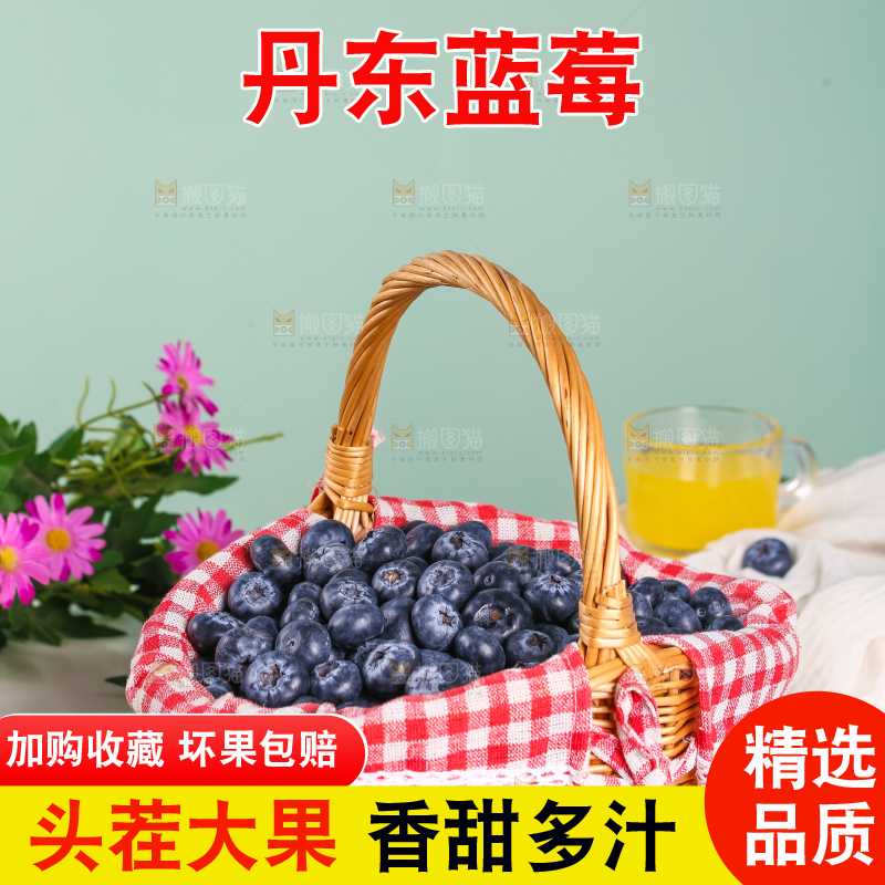 一篓新鲜蓝莓