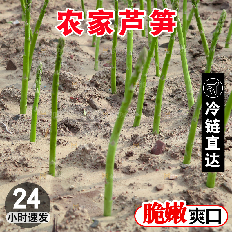 新鲜的芦笋