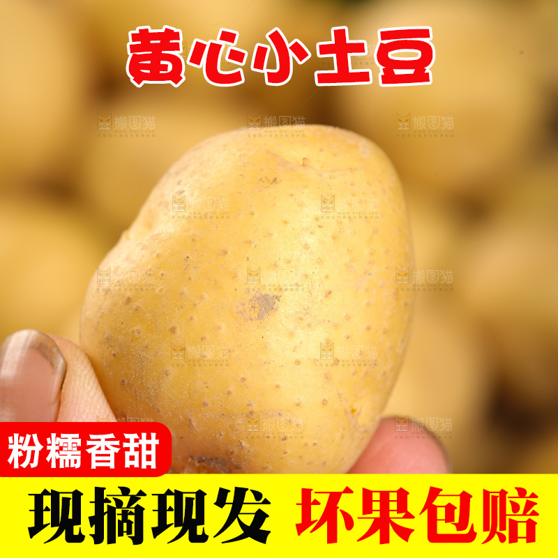 手里拿着小土豆