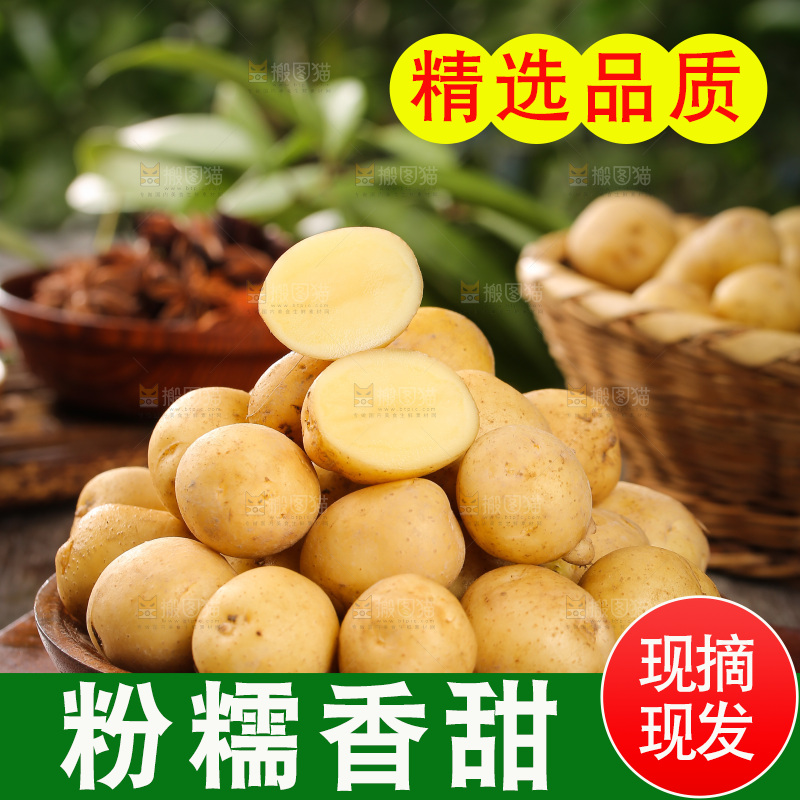 一盘恩施小土豆