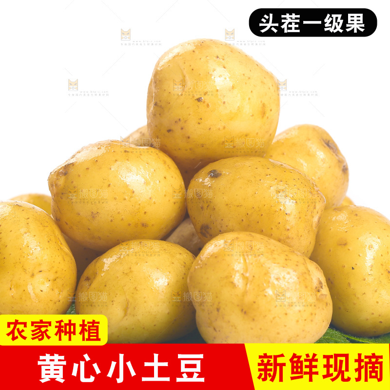 一堆小土豆