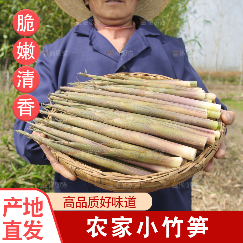 手里端着一篮小竹笋