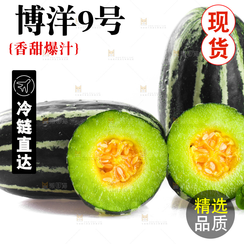 白底上放着一堆博洋9号甜瓜