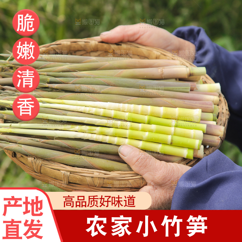 手里端着一篮小竹笋