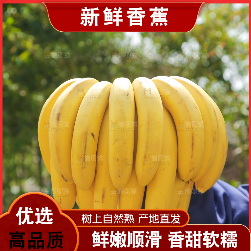 手里提着一串高山甜香蕉