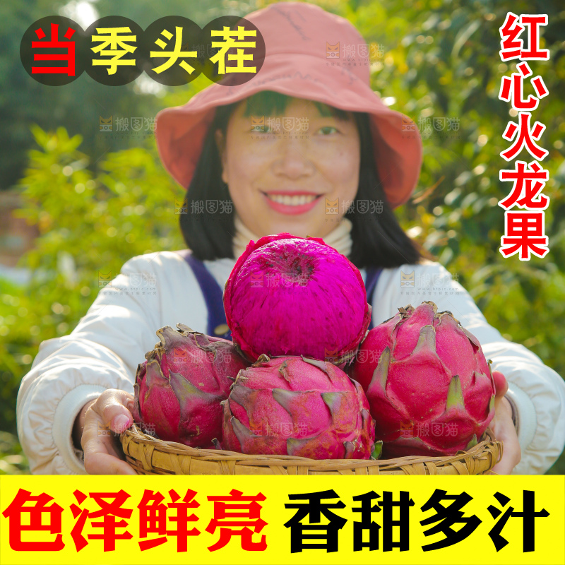 手里端着一篮红心火龙果