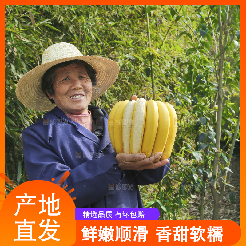 手里拿着香蕉
