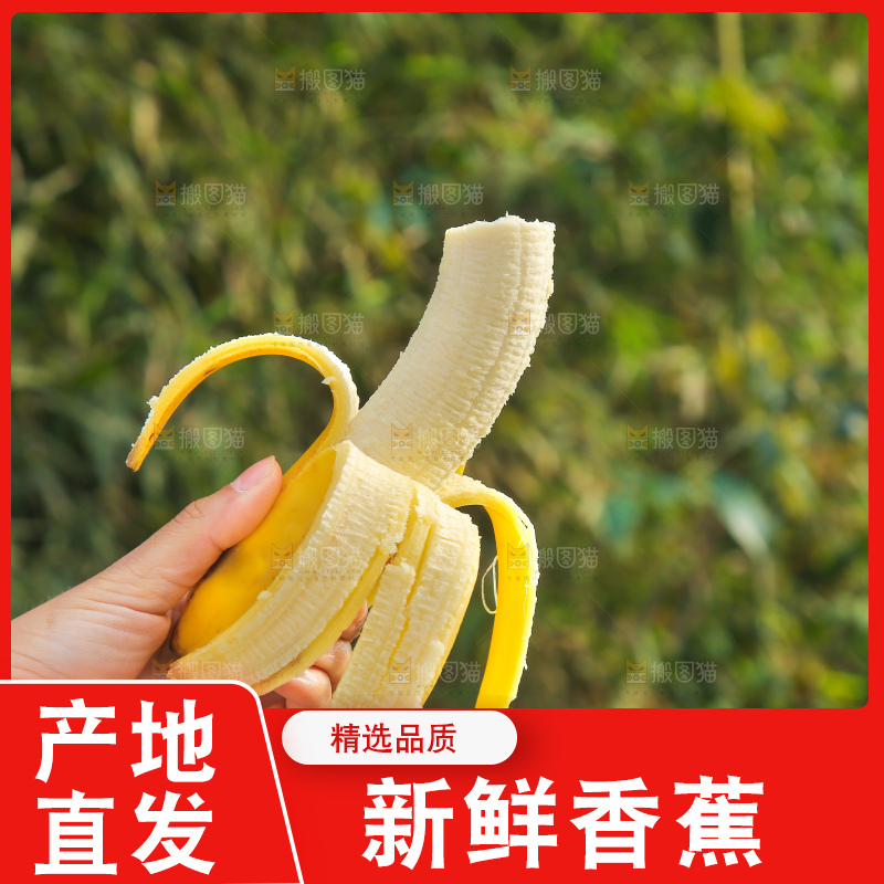 手里拿着香蕉