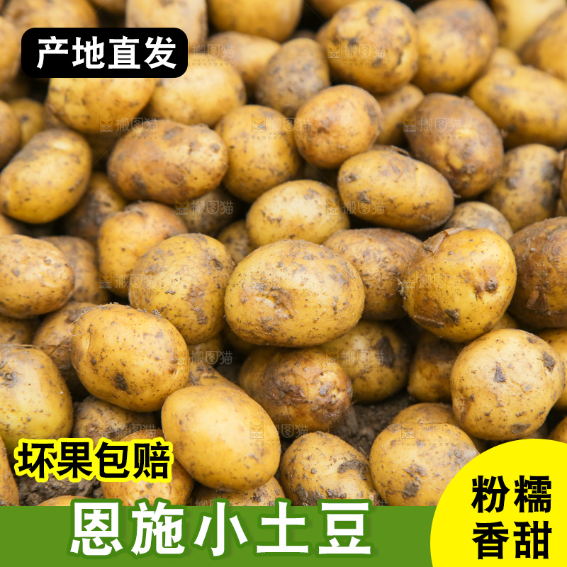 小土豆纹理