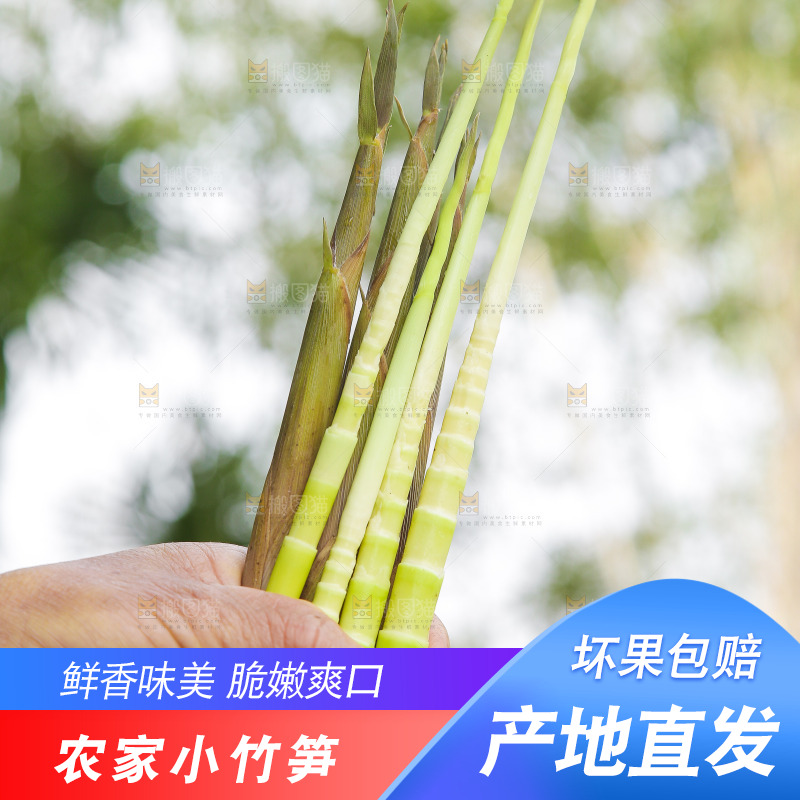 手里拿着小竹笋