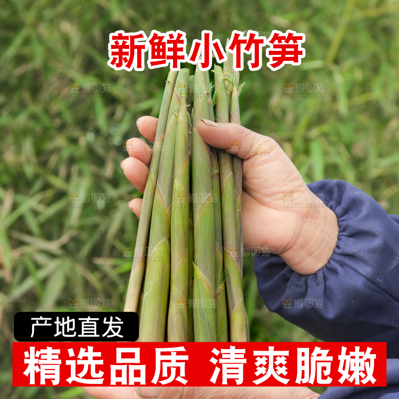 手里拿着小竹笋