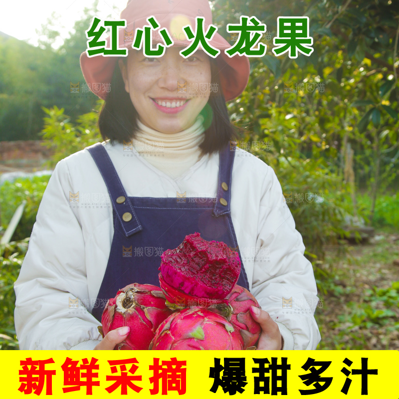 手里捧着金都一号红心火龙果